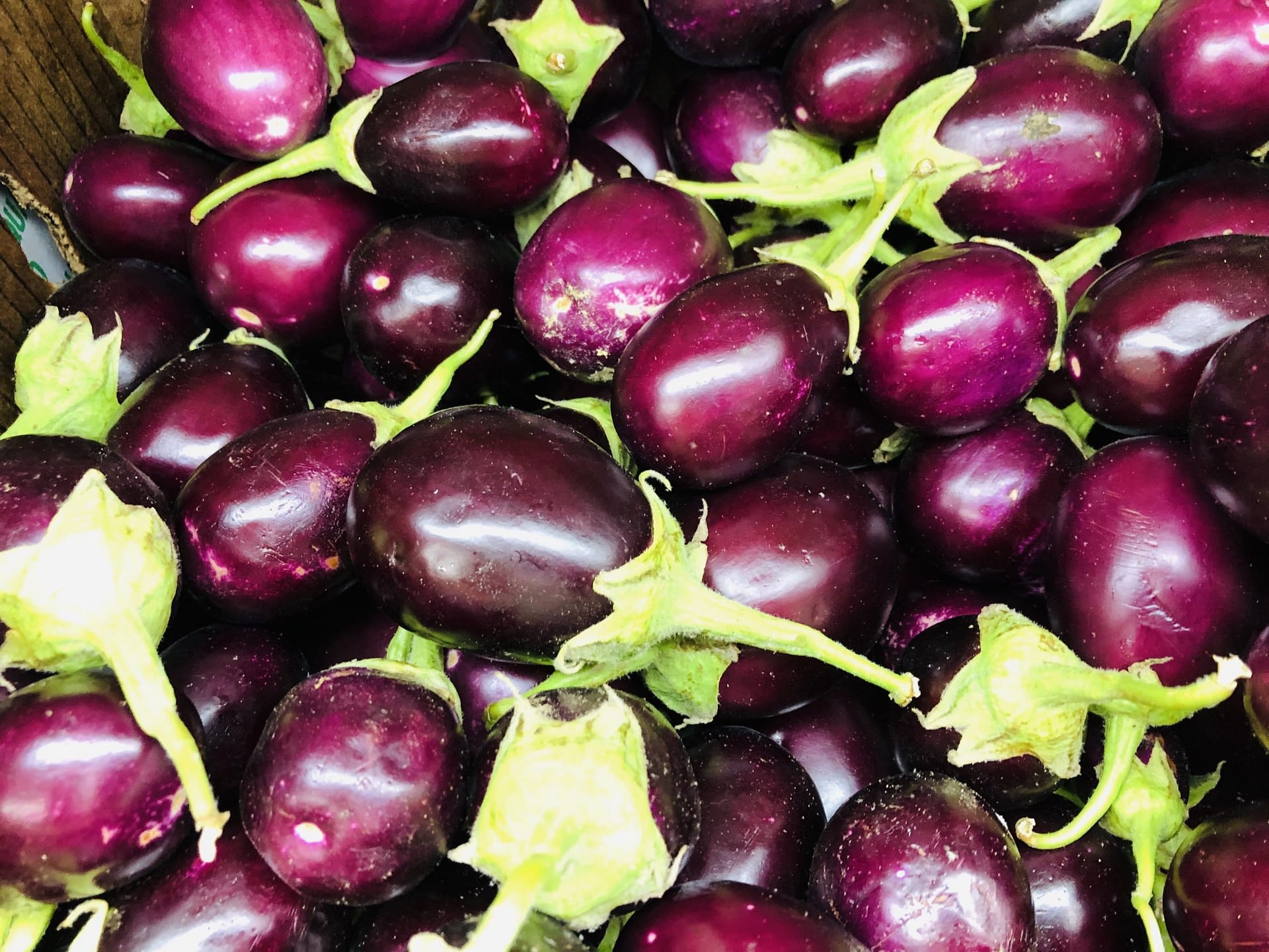 Egg Plant Indian small 0.5 lb Food and Cart